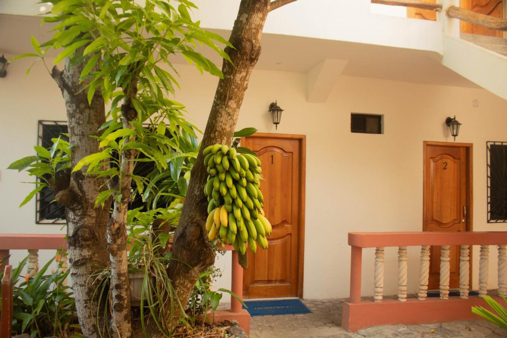 Casa De Nelly Puerto Baquerizo Moreno Exterior foto